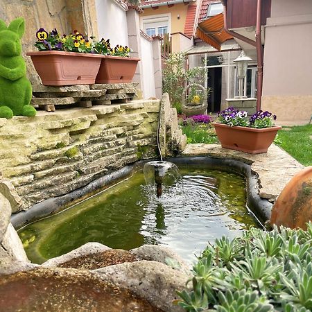 Ferienwohnung Csobogo Vendeghaz Erlau Exterior foto